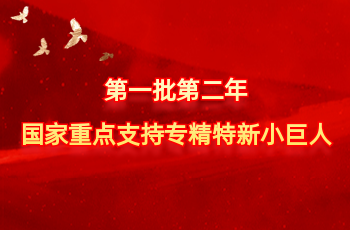 全国仅575家 | 北方lewin乐玩官网入选第一批第二年国度沉点支持专精特新幼巨人