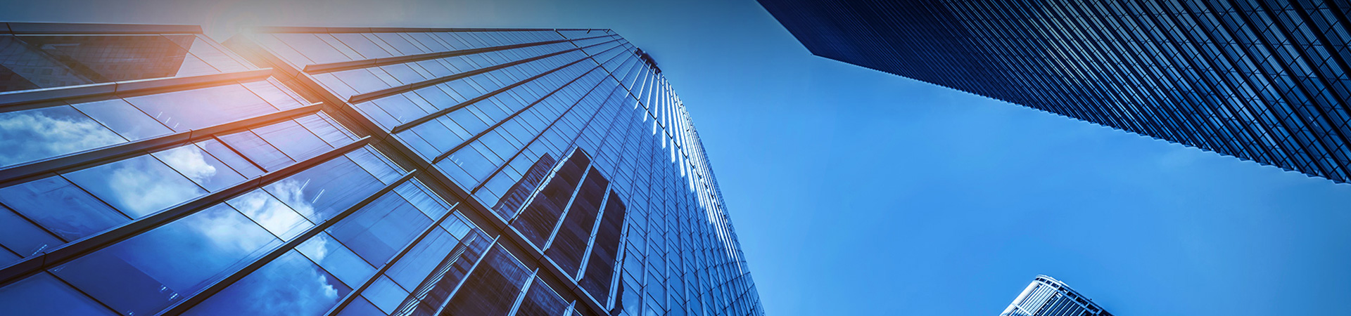 lewin乐玩官网-相信品牌力量